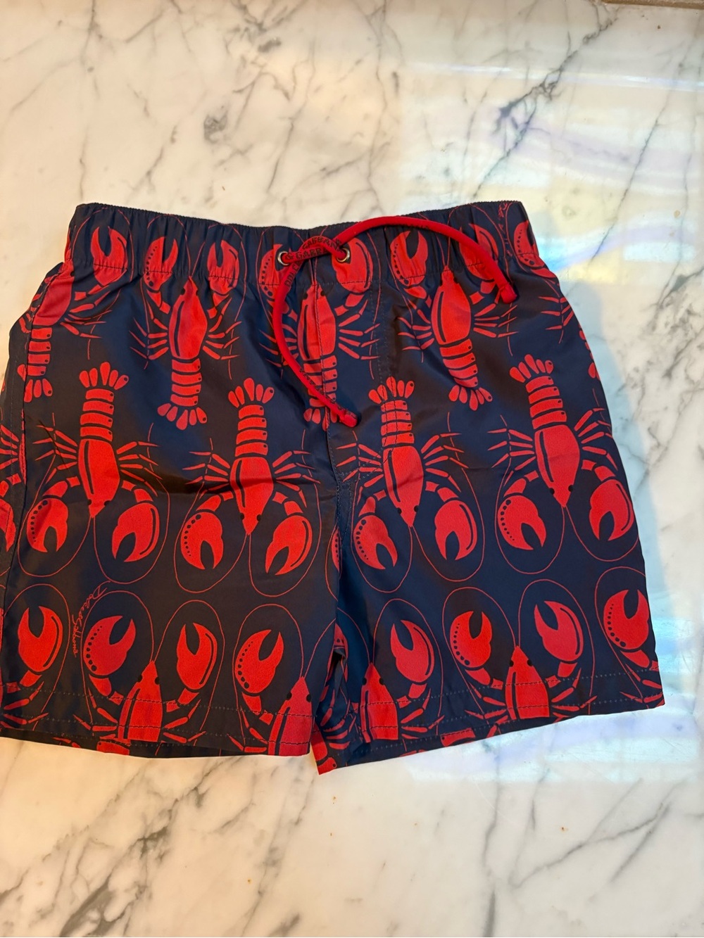 Dolce & Gabbana Navy Swim Shorts with Red Print 9month NWOT